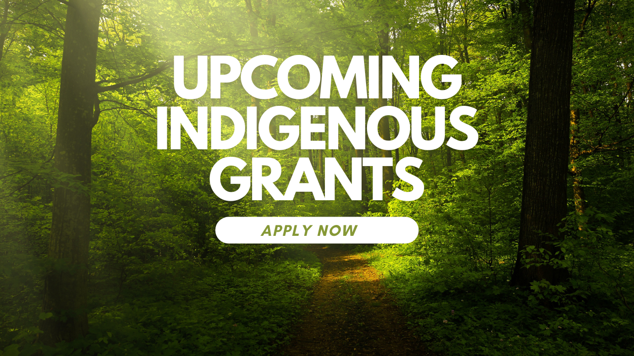 Upcoming Indigenous Grants Available - Powwow Times